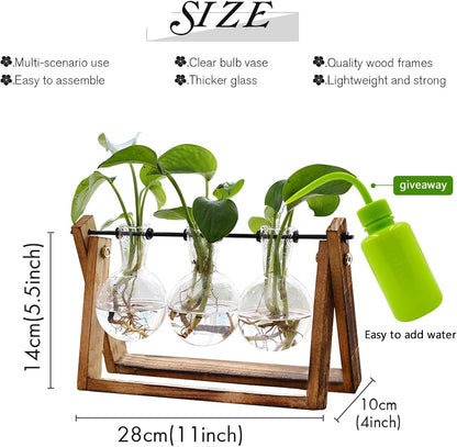 Terrarium with Wooden Stand