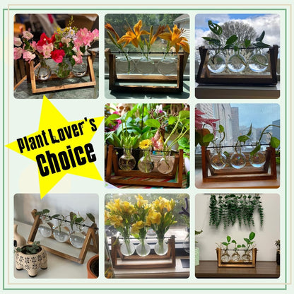 Terrarium with Wooden Stand